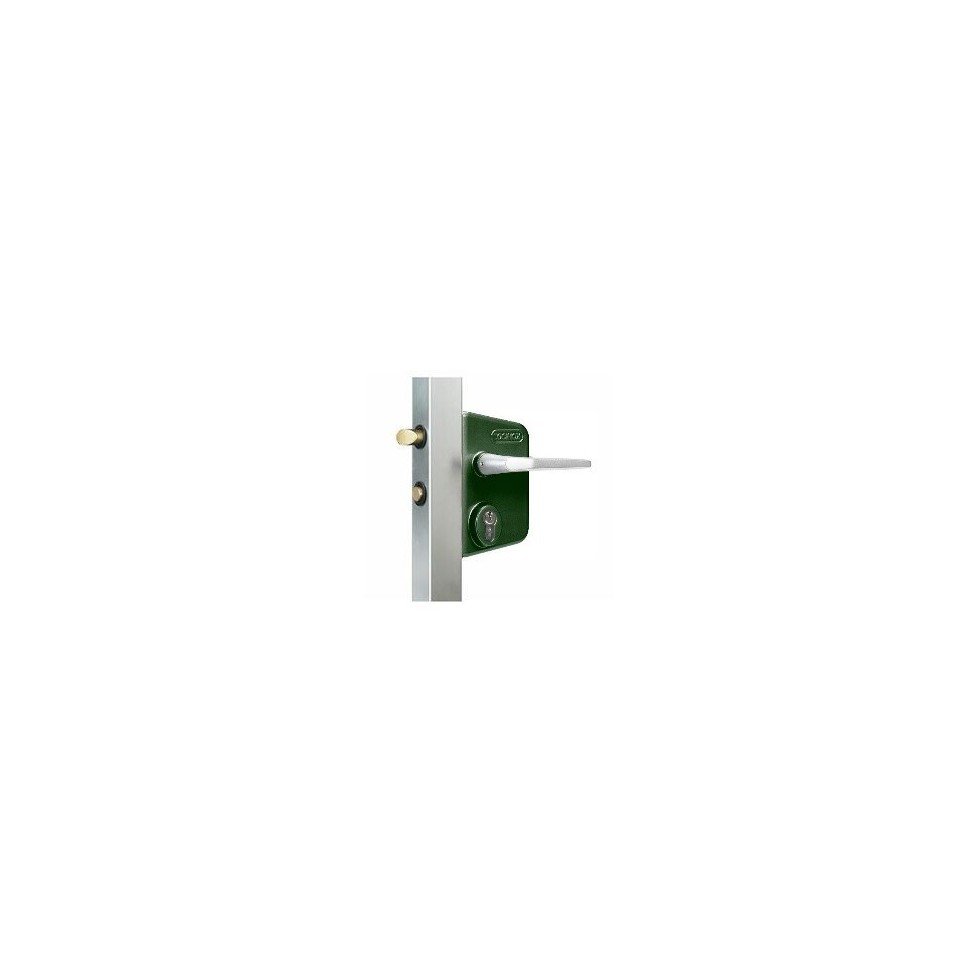 Serrure portail LOCINOX LC40 verte Serrure portail LOCINOX LC40 verte