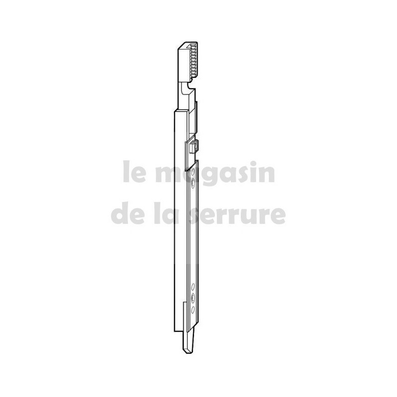 312033 Verrou bas inverseur sortie 18mm ROTO avec plaquette 312033 Verrou bas inverseur sortie 18mm ROTO avec plaquette